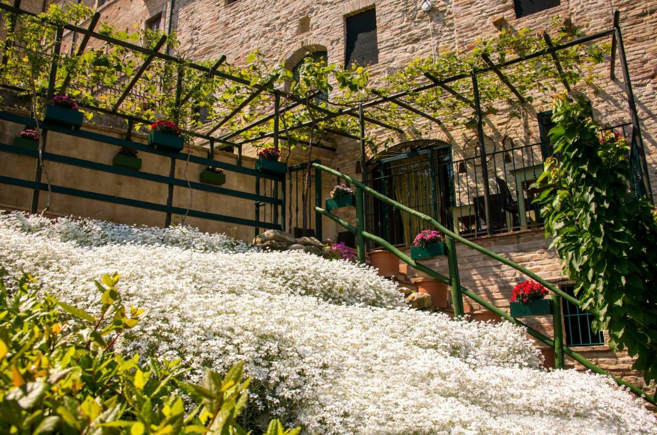 B&B Borgo Marano Cupra Marittima Eksteriør bilde