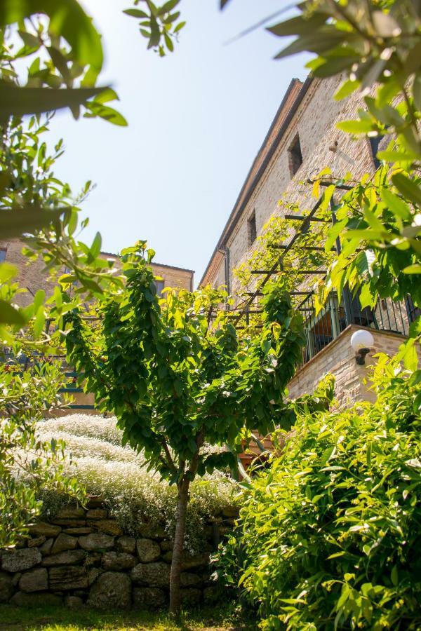 B&B Borgo Marano Cupra Marittima Eksteriør bilde